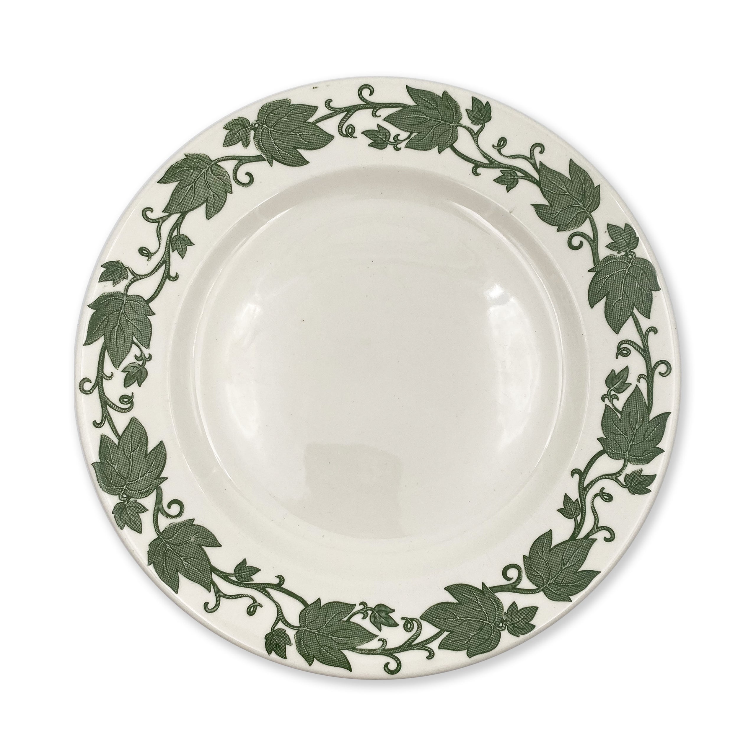 English Ivy Dinner Plates Set of 8 by Royal China Inc